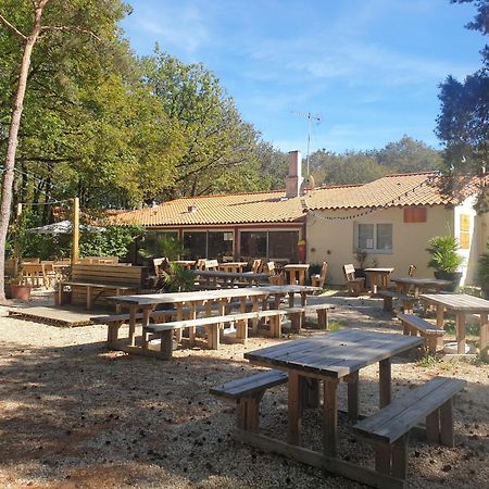 La Boissiere-de-Montaigu Mobilhome Proche Puy Dufou מראה חיצוני תמונה
